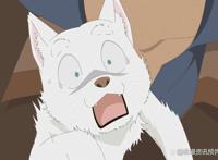 名侦探柯南零的日常：最终回“TIME.6”安室透养小狗