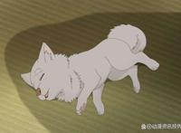 名侦探柯南零的日常：最终回“TIME.6”安室透养小狗