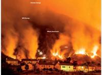 今日影视推荐：福尔摩斯小姐