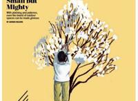 今日影视推荐：福尔摩斯小姐