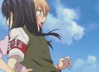 恋爱番不仅有纯爱后宫，而且有两个类型很有“深意”