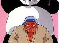 日媒投票：动画中出现的熊猫角色人气排行，娘化不如本体系列
