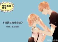 破镜重圆甜文，强推《不纯情罗曼史》，逃不过他不顾一切的追捕