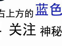 四月新番实在太多，数据伞为大家精挑细选几部经典番剧