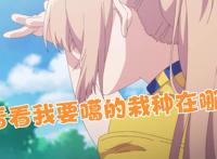 欧美新番一周排行榜，第一是我们争议最大的，他们竟然不圣母