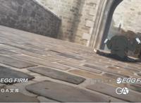 四月新番推荐：处刑少女的生存之道，异世界版魔法少女小圆