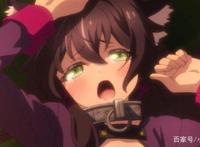 盘点B站最受嘲讽，有最受宠溺的萝莉，网友：都是朕的后宫番！