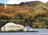 「活动回顾」四川卧龙“熊猫总动员”——做熊猫义工志愿者