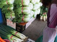 一棵62元人民币！韩国大白菜一棵比2019年上涨40%堪比吃“钻石”