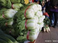 一棵62元人民币！韩国大白菜一棵比2019年上涨40%堪比吃“钻石”