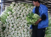 长春：一棵大白菜七十多元？是真的，但与疫情无关！