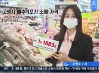 大白菜100元人民币一棵，韩国主妇急了