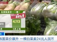 一棵大白菜24元！菜价飙升，当地民众叫苦不迭……咋回事？