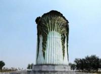 山东“最另类”建筑，高20米，重13吨，酷似一棵“大白菜”