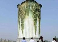 山东“最另类”建筑，高20米，重13吨，酷似一棵“大白菜”