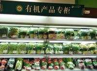 造谣惑众！吉林“天价白菜”73元一棵，超市：是有机菜，没涨价！