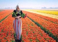 全球农业未来几十年的发展方向，这些你一定要了解