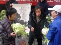 冬日里的这一棵棵大白菜，其实都是满满的爱……