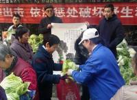 冬日里的这一棵棵大白菜，其实都是满满的爱……