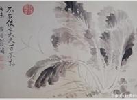 一棵大白菜，为何滋养了一个民族的胃口和精神？