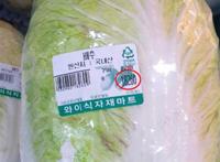 韩国大白菜100元人民币一棵主妇急了