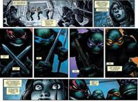 蝙蝠侠单挑四大忍者神龟，神龟打不过，被斯普林特老师救走