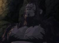 《忍者蝙蝠侠》很奇葩的蝙蝠侠动画电影，并且有些奇葩过头