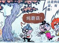 为什么蘑菇不能乱吃？就让衰奶奶用黑暗料理揭晓答案！