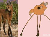 《动物狂想曲》：哈鲁是只细心、温柔、隐忍、可爱的兔子