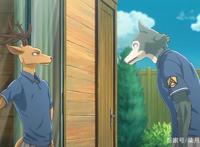 动物狂想曲：狼爱上了兔子，这种追求的心情到底是恋爱还是本能？