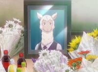 《BEASTARS》，大尺度的动物版青春人性剧