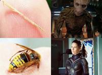 被动物咬了就能变身超级英雄，美漫的英雄套路被网友恶搞了一番