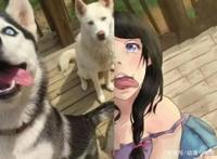 当现实的小动物“破壁”变成二次元，猫娘果然是阿宅最喜欢的妹子