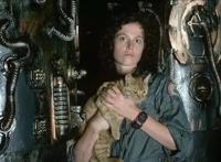 好莱坞怪兽电影的审美构成要素，怪兽具象化下，具有的含蓄意指