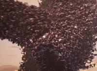 《2077日本锁国》：日本就这样把自己“作”没了