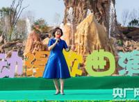 “国产动漫歌曲演唱会”在银基动物王国唱响，唤起几代人的童年