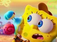 海里没有海绵？那《海绵宝宝》哪里来的？动画片主角真的存在吗？