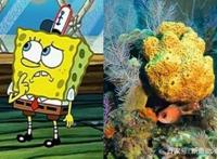 动漫：海绵宝宝中的5位角色原形，章鱼哥高傲，最后一位神还原！