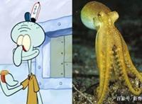 动漫：海绵宝宝中的5位角色原形，章鱼哥高傲，最后一位神还原！