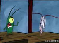 海绵宝宝：动漫与现实中的碰撞，小蜗最可爱，蟹老板你来搞笑的吗