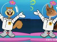 海绵宝宝：动漫与现实中的碰撞，小蜗最可爱，蟹老板你来搞笑的吗