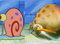 海绵宝宝：动漫与现实中的碰撞，小蜗最可爱，蟹老板你来搞笑的吗