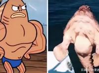 关于《海绵宝宝》的一些冷知识，看看是否有你不知道的事实