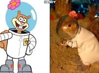 《海绵宝宝》现实版，海绵宝宝迎来中年危机，松鼠还穿上了潜水服