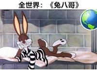 《海绵宝宝》惨遭禁播，《唐老鸭》紧随其后，这些动漫哪里出了错