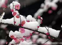 以《中国唱诗班》为例，浅析传统文化的传承与自我救赎