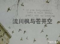 《流川枫与苍井空》是怎么回事？好好的赤木晴子他为何不珍惜？