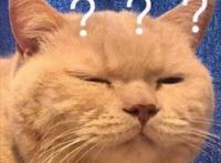 青春不改少年性！那些让人念念不忘的热血动漫，你看过几部？