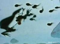 看过这几部经典国产动画的，可能已经当爷爷奶奶了