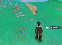 原神嗜髓蜥在哪里刷新